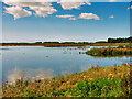 SD4214 : The Mere, Martin Mere Wetlands Centre by David Dixon