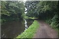 Stratford-upon-Avon Canal towards bridge #6