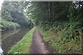 Stratford-upon-Avon Canal towards bridge #6