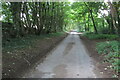 SP1927 : Tree lined lane up to Fosse Way by Philip Jeffrey