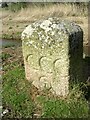 Old Boundary Marker close to Glebe Row, Hayle