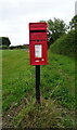 Elizabeth II postbox on the A465, Ocle Pychard