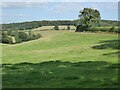 Farmland in the Leadon valley