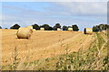 Field edge with bales