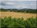 View to Gold Hill Farm