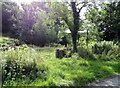 Gateway opposite West Law Farm