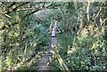 Footbridge near Washington