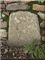 County Bridge Marker on Aller Hill, Dawlish