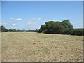 Farm field on the Bridgend Circular Walk between Laleston and Merthyr Mawr