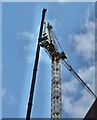 Tower Crane