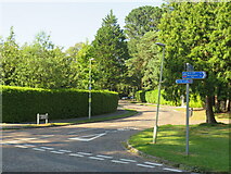 SZ0590 : Bury Road, Branksome Park, near Poole by Malc McDonald