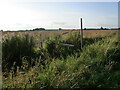 The beginning of a footpath to Bloxholm