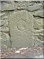 Bridge Marker south of Langham Bridge, Cornwood parish