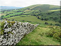SJ1228 : Drystone wall above the valley of Afon Iwrch by John H Darch