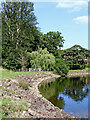 North shore of Trimpley Reservoir in Worcestershire