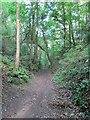 Tramroad through Harston Wood