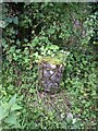 TQ7552 : Old Boundary Marker in Loose Valley by S Brown