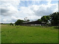 Grazing and barn, Lower Strensham