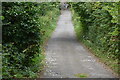 Track in Friston Forest