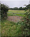 7-bar  field gate at the SW edge of Llangwm, Monmouthshire