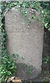 Old Boundary Marker on Blachford Road in Ivybridge