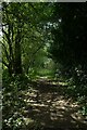 Footpath towards the Ouse