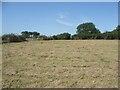 Public footpath across a mown field between Merthyr Mawr and Laleston