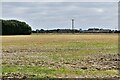 Allwood Green, New Delight Road: Harvested field