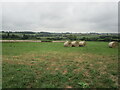 Field of straw bales near Cutlersforth Farm