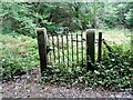 Derwent Aqueduct access gates and discharge well