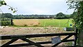 Field south of Ashtead Woods Road