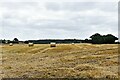 TM0374 : Rickinghall: Harvested cereal crop and baled straw by Michael Garlick