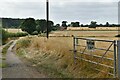 Wattisfield: Private road leading to Sandfield Farm