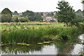 River Avon at Amesbury