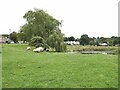 Sheep on the village green, Caldbeck