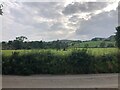 View over Long Lane to pasture