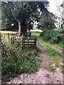 Footpath near Rye Flatt Cottage