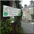 Arwydd draenogiad / Hedgehog sign