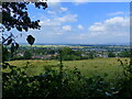 View from Churchdown (Chosen) Hill over Churchdown