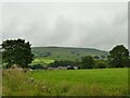 View from Binns Lane