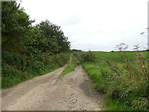 TG2737 : Farm track by David Pashley