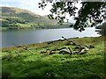 NY1122 : Driftwood beside Loweswater by Oliver Dixon