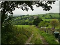 Norwood Lane below Leys House