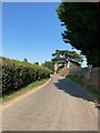 Lower Layham - looking towards the church