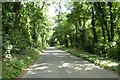 Road through Settrington Plantation