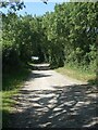 Track on Bridgend Circular Walk approaching patch of woodland near Whitney Farm