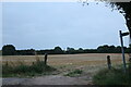 Field and bridleway in Stevington