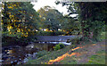 Weir, Wooler Water