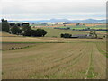 Field north of Daviot