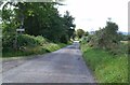 Unclassified country road at Drynie Park